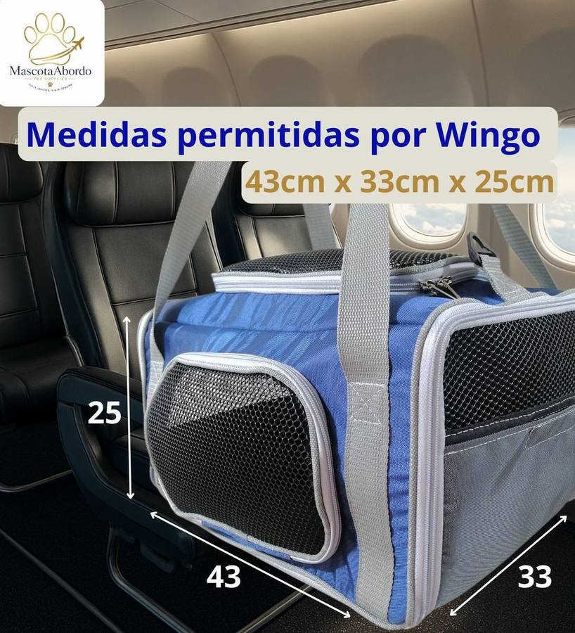 Viajar con mascota en Wingo